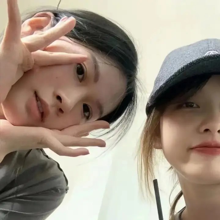 天鹅纹章 在线观看
